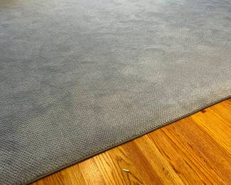 Area Rug - Blue