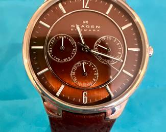 Skagen Watch