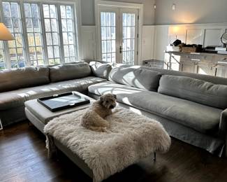 Restoration Hardware linen/down sofas