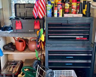 Cordless Drill Set;  Plastic Tool Box;  Painting Supplies;  Leaf Blower;  Craftsman Tool Chest;  Insect Control;  American Flags