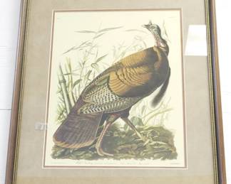 206 - Audubon Wild Turkey Frame 24.5x22
