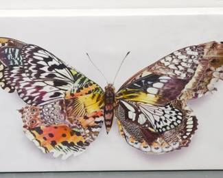 179 - Stylecraft Butterfly wall art 16 x 28.5
