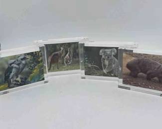 4 Crate Barrel Acrylic Frames With 3D Wild Life Pictures