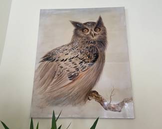 . . . owl art