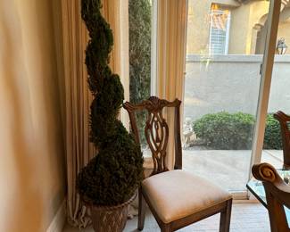 large preserved topiaries