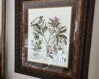 botanical art