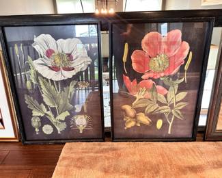Pair of floral prints
