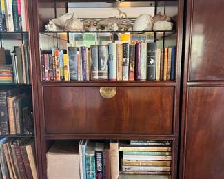 Books + Wall Unit Asian inspired