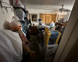 witches halloween gargoyles goblin skeleton  skull 