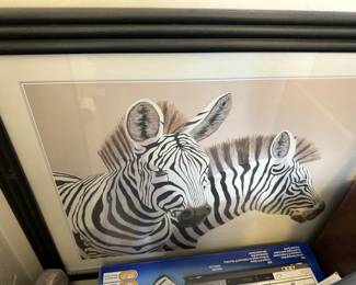zebra picture