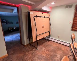 Ping pong table. Available for pre-sale. 