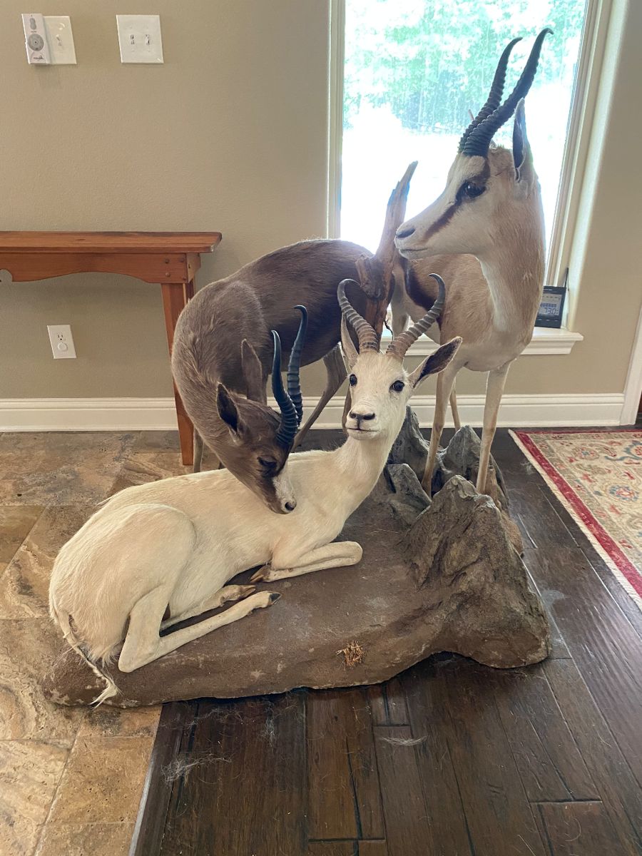 Hagel estate/Moving sale in Nacogdoches, TX starts on 4/12/2024