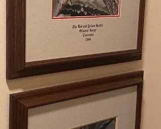 Framed Tanzanian Bird Photographs