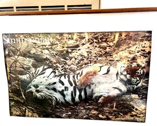 Vintage Framed Smithsonian Poster 