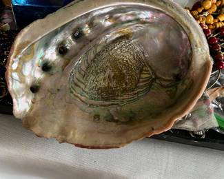 Extra Large Oyster Shell