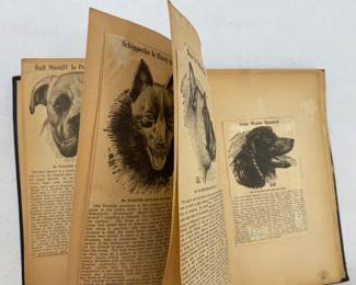 Vintage scrapbook of dog breed clippings