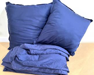 Queen Sized Duvet With 2 Large Matching Throw Pillows
Lot #: 162