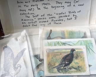 Bird trade cards