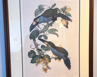 Paul Greenfield toucan lithograph signed