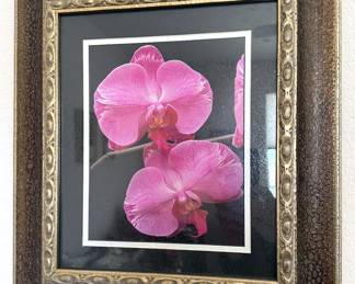 Framed orchid picture