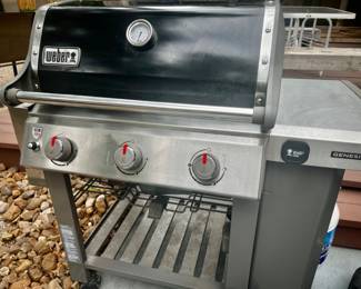 Weber Genesis II Grill