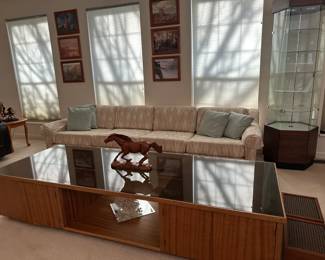 Mid century modern couch and handmade coffee table with smoked glass