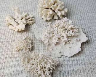 Vintage Sea Coral