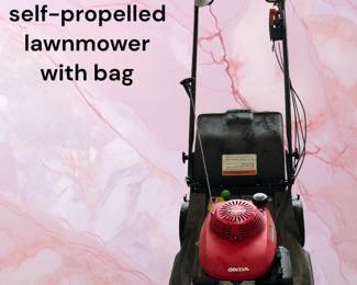 Honda HRX217 self-propelled lawnmower with bag