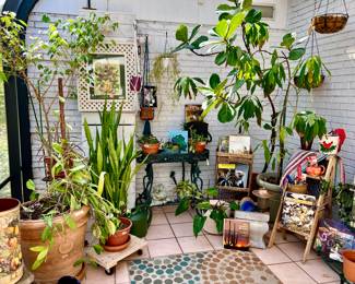 Large sunroom full of amazing plants, stands, and botanical books. 