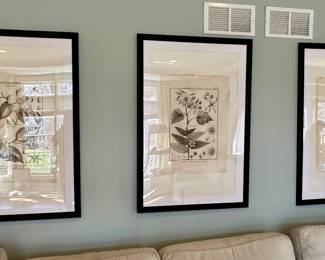 Pottery Barn Botanical Wall Art set of 3.