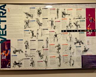 Vectra Poster is selling as part of On-Line 1800 Vectra Gym System