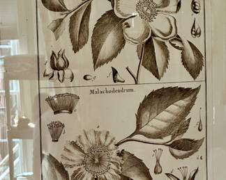 Pottery Barn Botanicals We have 3, purchase as a set or individually