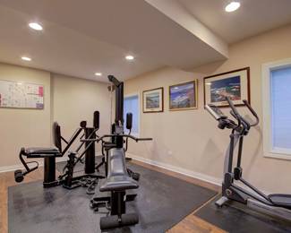 Home Gym Anyone?  Vectra Total Gym and Life Fitness X3 Elliptical Machine.