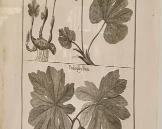 Pottery Barn Botanicals We have 3, purchase as a set or individually