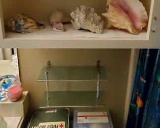 Awesome sea shell collections - come help keep me from buying all of them!  My husband can't handle any more in our house (I'm a bit - ok, a lot - of a sea shell collector myself!)