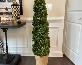 H12 -  $400. PAIR of tall Preserved Boxwood Spiral Topiaries. 