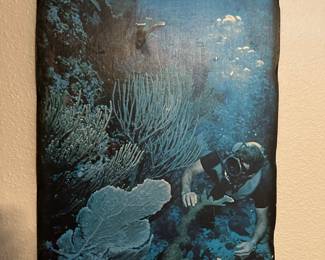 Slate look lithograph of diver in coral bed, blue on black tones