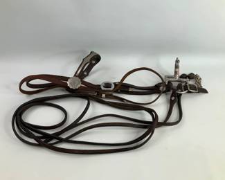 Western Leather Bridle