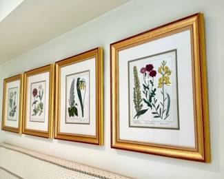 SOLD each (4 available--each different); botanicals by Syd Ewards circa 1800's in sage and white double matting and gold gilded frame; 15.5x17.5