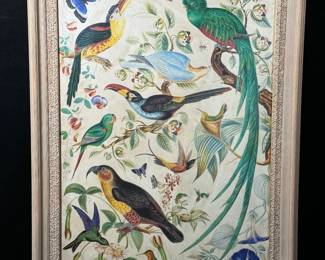 Reproduction print of an antique depiction of birds and bugs and butterflies