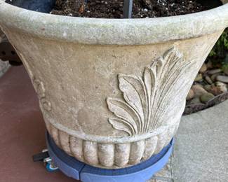 Cement planter (1 of 2)