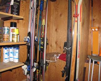 Cross Country and Downhill Skis