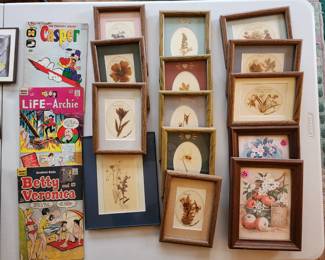 vintage comics, framed dried pressed flowers
