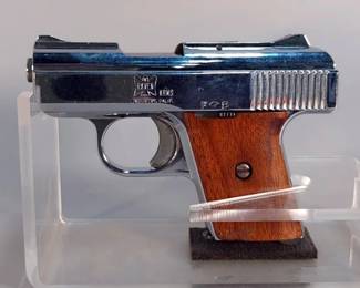 Raven Arms MP-25 .25 Auto Pistol SN# 815428