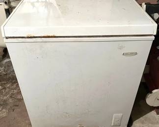 Holiday Freezer In Basement 