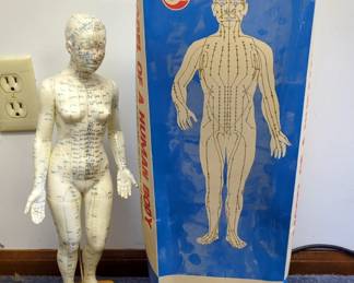 Chinese Acupuncture Human Body Models, Qty 2 With Stand, The Male Model Includes The Original Packaging