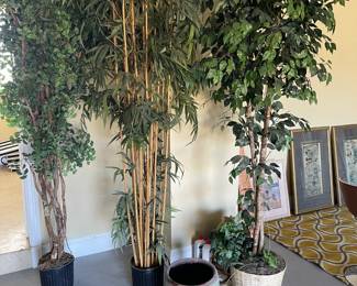 3 large indoor artificial trees. 