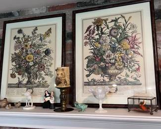 Beautiful wall art framed prints by Robert Furber. Floral print of the month. 