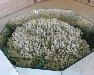 CLOSE UP OF THE MAGNIFICENT CORAL INSIDE