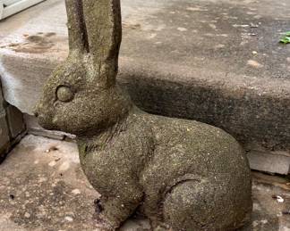 Concrete bunny